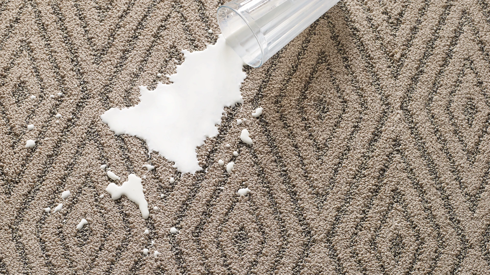 spilt milk on carpet