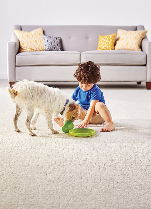 blog_214_familydogoncarpet